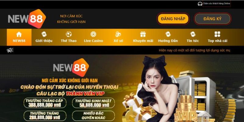 Giới thiệu New88 giúp người chơi nắm bắt về những dịch vụ được cung cấp